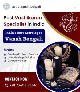 Astrologer Vansh Bengali: