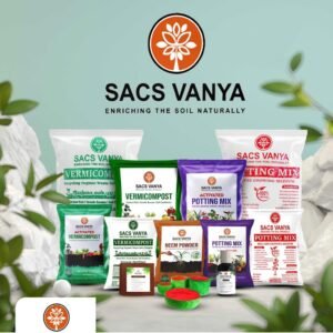 SACS Vanya