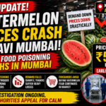 Watermelon Prices Crash