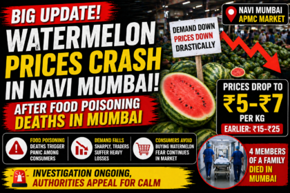 Watermelon Prices Crash