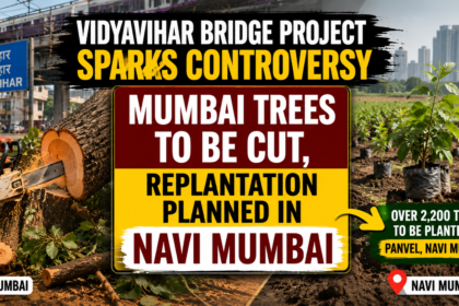 Mumbai Trees To Be Cut