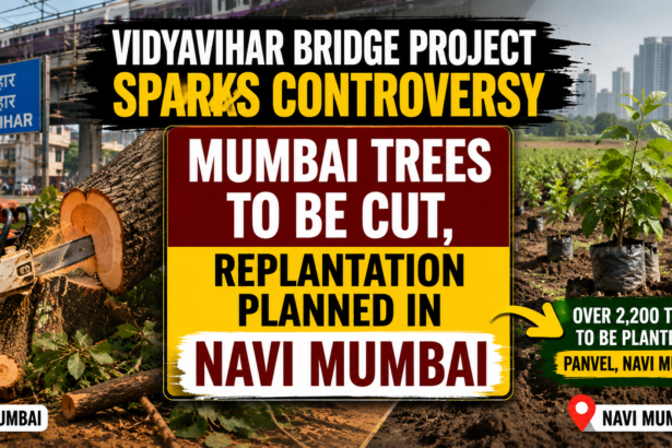 Mumbai Trees To Be Cut
