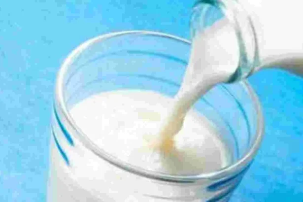FDA Busts Major Milk Adulteration Racket in Navi Mumbai