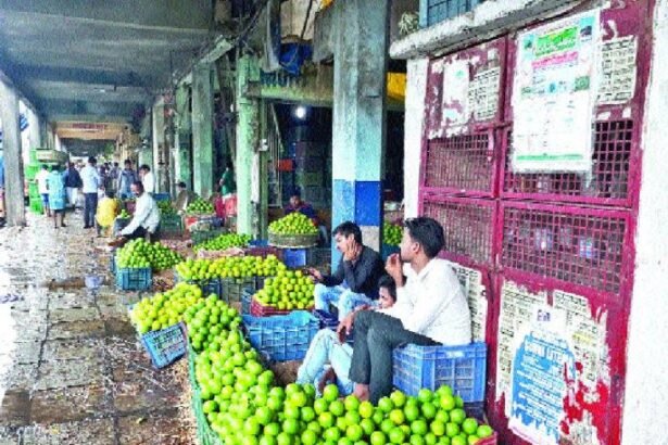 Fruit Prices Rise at Navi Mumbai APMC