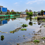 Navi Mumbai Mithi River silt
