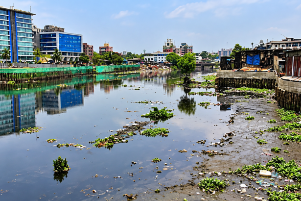 Navi Mumbai Mithi River silt