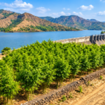 Navi Mumbai Morbe Dam