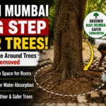 Navi Mumbai Orders Removal of Concrete Around Trees to Protect Roots
