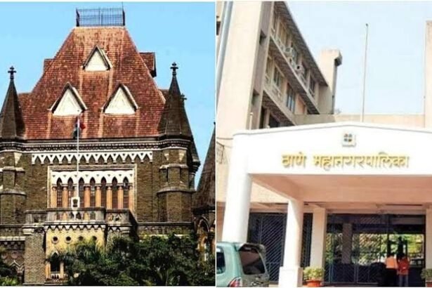 Thane TMC Committees Delayed