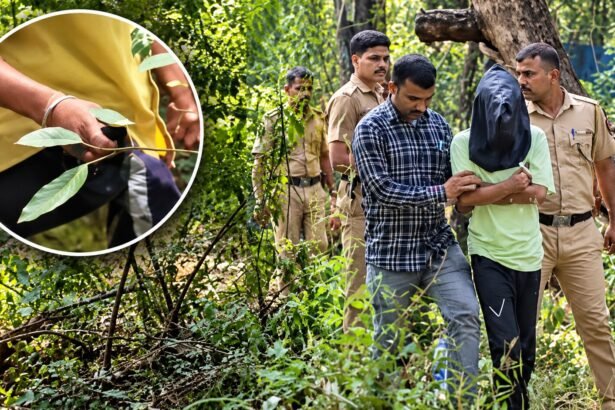 Thane Drishyam-Style Murder